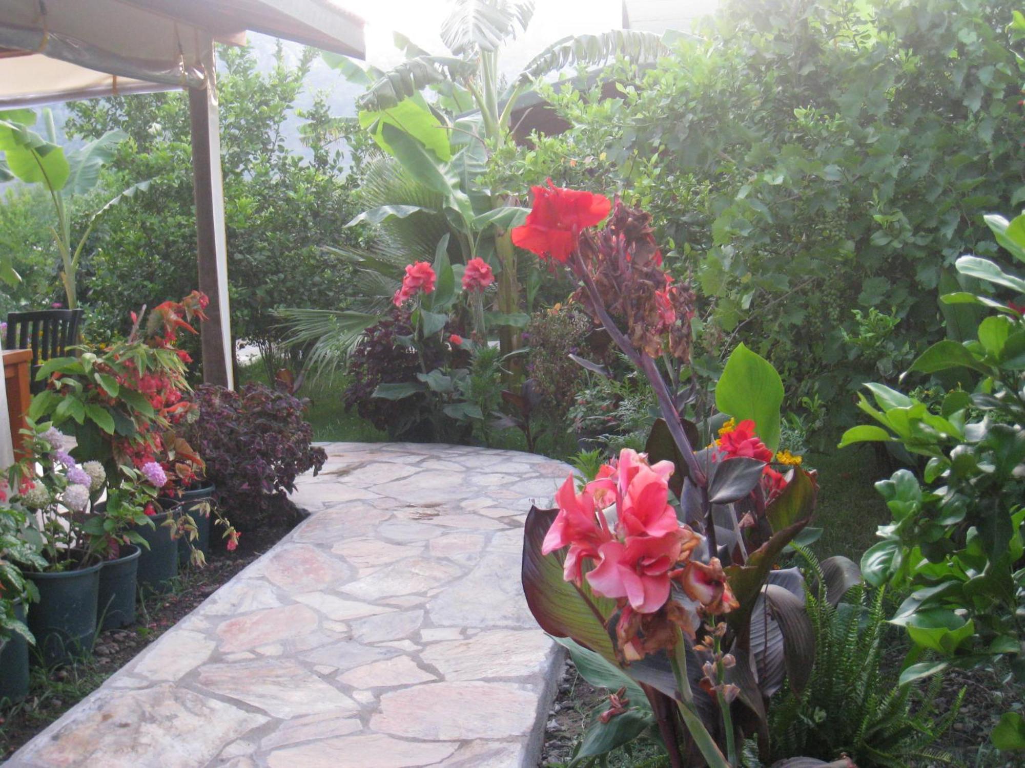 Cirali Armira Bungalow Exterior foto