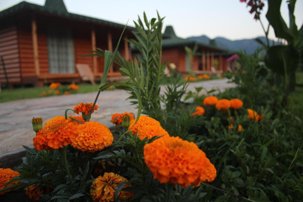 Cirali Armira Bungalow Zimmer foto
