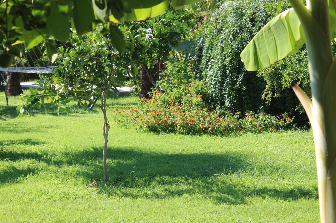 Cirali Armira Bungalow Exterior foto